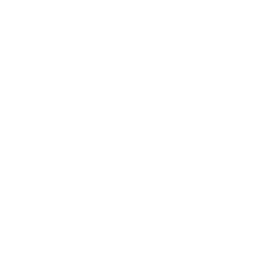 Triorace Esports